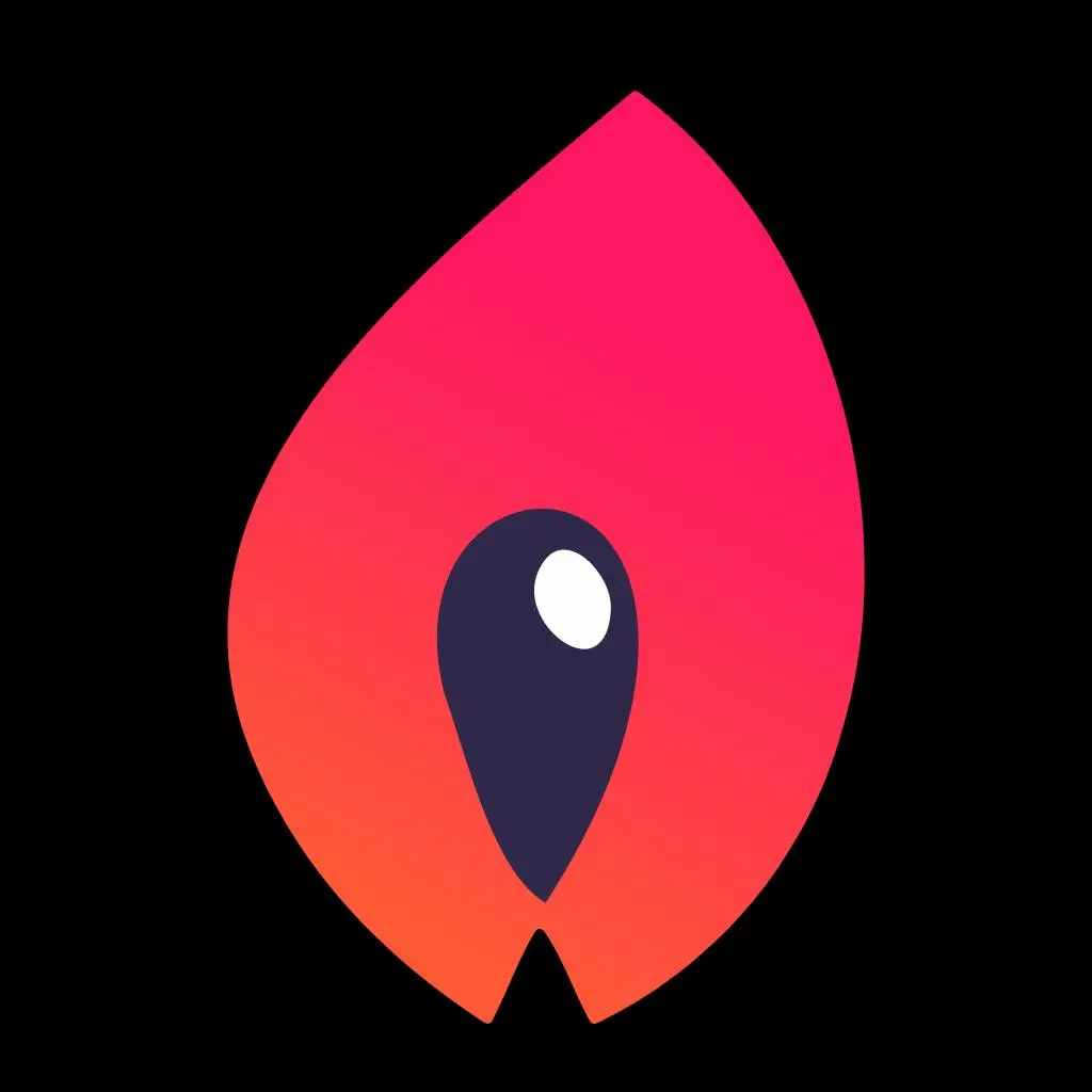 TorchWallet.io icon